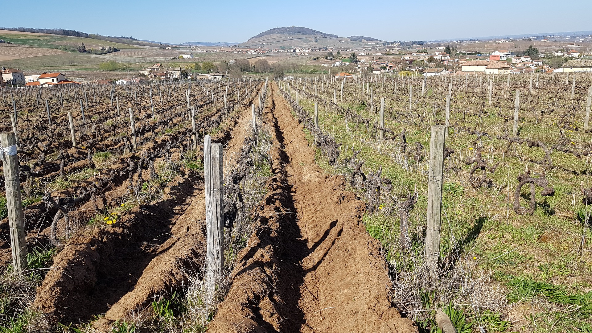 Domaine des Fourquières - Vins du Beaujolais